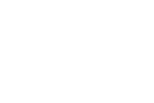 Lahen Salonki R11 logo